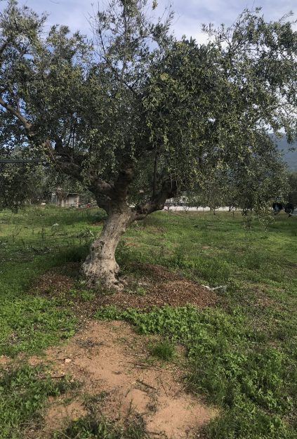 Experience 3 IMG_2520